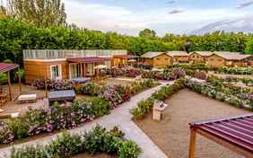 schöne und gepflege Anlage - Foto: Bethel Fath